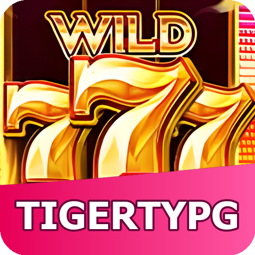 Verificação KYC tigertypg